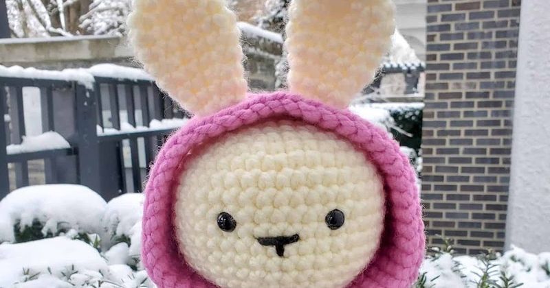 Some Bunny in the Hood free crochet pattern by Juli Anne
