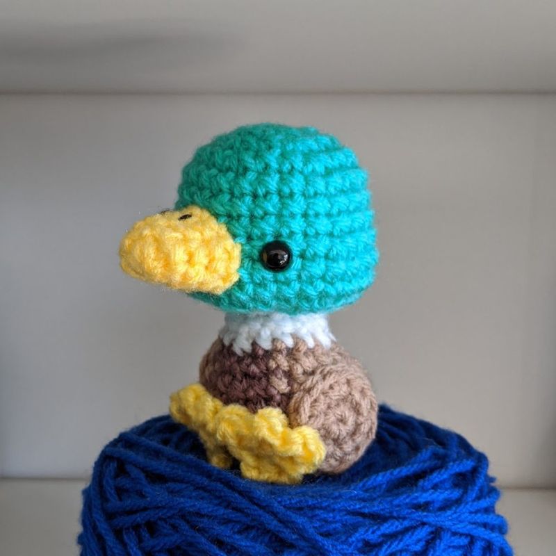 Little Mallard Duck free crochet pattern by Phillip Ha