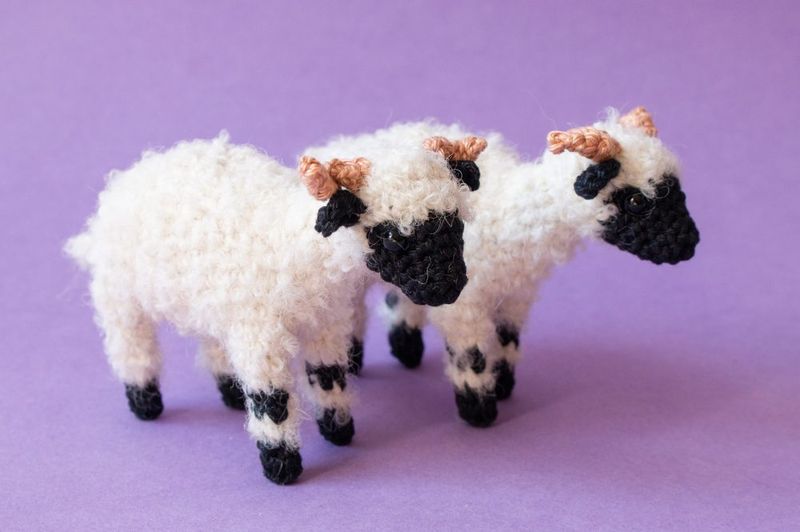 Bibi the Blacknose Sheep free crochet pattern by Stella Sharafi