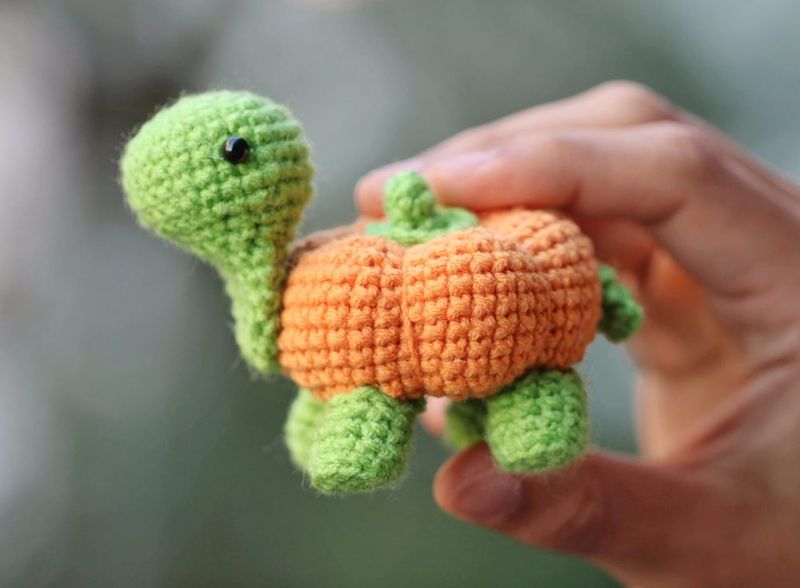 Pumpernickel the Pumpkin Turtle free crochet pattern by Sara